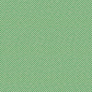 SIENTO COLOR Prairie 125
