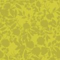 ADAGIO 2043 62 : Anis 62