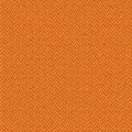SCOURTIN 2164 136 : Citrouille 136