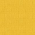 RIVE 2026 46 : Jaune 46