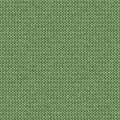 METIS 2162 36 : Cactus 36
