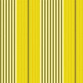 FRANCOIS 2123 46 : Jaune 46