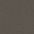 CHARLOTTE 2137 107 : Terre 107