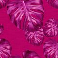 MONSTERA 2098 57 : Pivoine 57