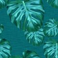 MONSTERA 2098 88 : Emeraude 88